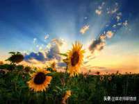 泉州信一企业管理咨询有限公司