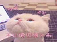 泉州信一企业管理咨询有限公司