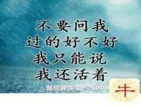 泉州信一企业管理咨询有限公司