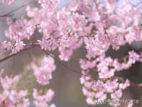 泉州信一企业管理咨询有限公司