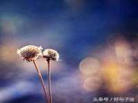 泉州信一企业管理咨询有限公司