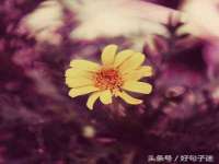 泉州信一企业管理咨询有限公司