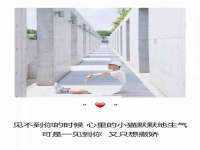 泉州信一企业管理咨询有限公司