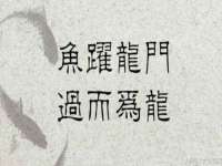泉州信一企业管理咨询有限公司
