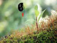 泉州信一企业管理咨询有限公司