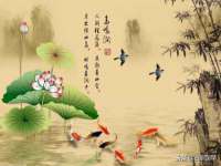 泉州信一企业管理咨询有限公司