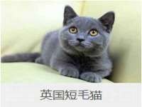 泉州信一企业管理咨询有限公司