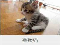 泉州信一企业管理咨询有限公司