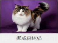 泉州信一企业管理咨询有限公司