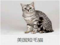 泉州信一企业管理咨询有限公司
