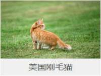 泉州信一企业管理咨询有限公司