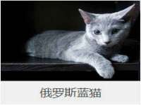 泉州信一企业管理咨询有限公司