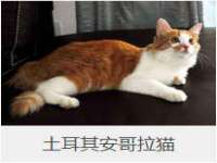 泉州信一企业管理咨询有限公司