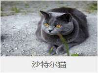 泉州信一企业管理咨询有限公司