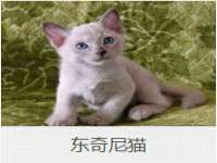 泉州信一企业管理咨询有限公司