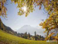 泉州信一企业管理咨询有限公司
