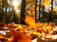 泉州信一企业管理咨询有限公司