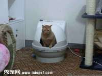 泉州信一企业管理咨询有限公司