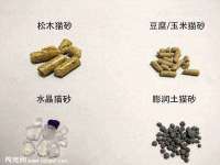 泉州信一企业管理咨询有限公司