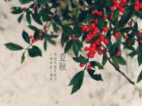 泉州信一企业管理咨询有限公司