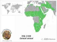 泉州信一企业管理咨询有限公司