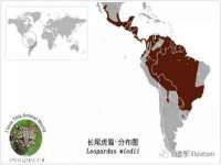 泉州信一企业管理咨询有限公司