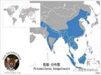 泉州信一企业管理咨询有限公司
