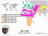 泉州信一企业管理咨询有限公司