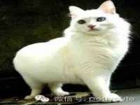 泉州信一企业管理咨询有限公司