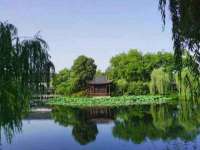 泉州信一企业管理咨询有限公司