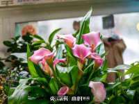 泉州信一企业管理咨询有限公司