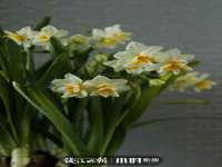 泉州信一企业管理咨询有限公司