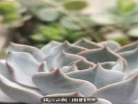 泉州信一企业管理咨询有限公司