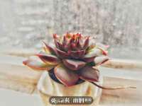 泉州信一企业管理咨询有限公司