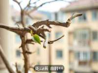 泉州信一企业管理咨询有限公司