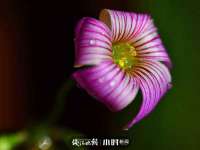 泉州信一企业管理咨询有限公司