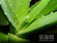 泉州信一企业管理咨询有限公司