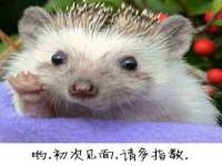 泉州信一企业管理咨询有限公司