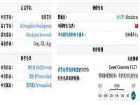 泉州信一企业管理咨询有限公司