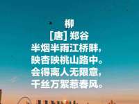 泉州信一企业管理咨询有限公司