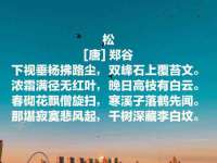 泉州信一企业管理咨询有限公司