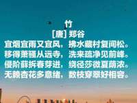 泉州信一企业管理咨询有限公司