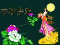 泉州信一企业管理咨询有限公司