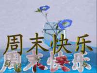 泉州信一企业管理咨询有限公司