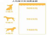 泉州信一企业管理咨询有限公司