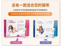 泉州信一企业管理咨询有限公司