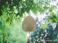 泉州信一企业管理咨询有限公司