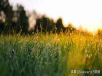 泉州信一企业管理咨询有限公司