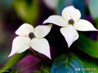 泉州信一企业管理咨询有限公司