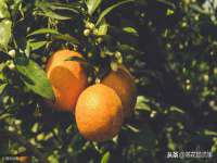 泉州信一企业管理咨询有限公司